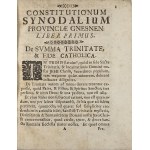 Constitutiones Synodorum Metropolitanae Ecclesiae Gnesnensis Provincialium Authoritate Synodi Provincialis Gembicianae per deputatos recognitae jussu vero & opera... Joannis Wężyk...Archiepiscopi Gnesnensis L.N.R.P.P. editae. Cracoviae 1761 Typ. Coll.
