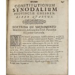 Constitutiones Synodorum Metropolitanae Ecclesiae Gnesnensis Provincialium Authoritate Synodi Provincialis Gembicianae per deputatos recognitae jussu vero & opera... Joannis Wężyk...Archiepiscopi Gnesnensis L.N.R.P.P. editae. Cracoviae 1761 Typ. Coll.