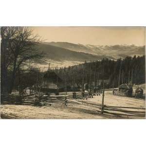 Żabie - Widok ogólny, 1924.