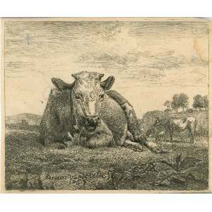 Adriaen van de Velde - Cow, 1657.