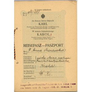 Passeport, 1917.