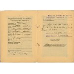Passeport, 1917.