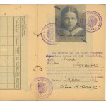 Passeport, 1917.