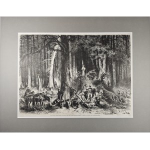 L'insurrection de janvier - L'affrontement des insurgés dans la forêt lituanienne, en 1863.