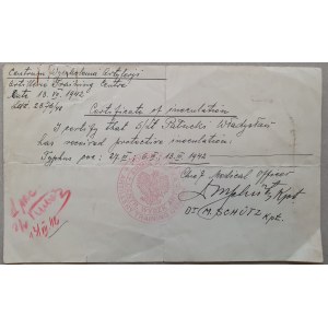 Certyfikat szczepienia na tyfus, 1942 r.