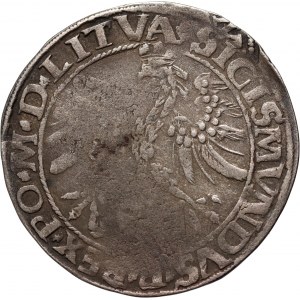 Zikmund I. Starý, litevský groš 1535, Vilnius