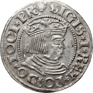 Sigismund I the Old, penny 1532, Gdańsk