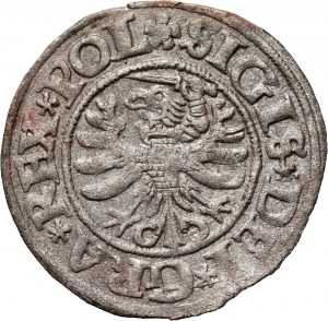 Zygmunt I the Old, 1531 shekel, Gdansk, Poland