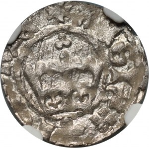 Jan Olbracht 1492-1501, mezzo penny senza data, Cracovia