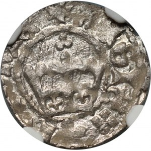 Jan Olbracht 1492-1501, demi-penny sans date, Cracovie