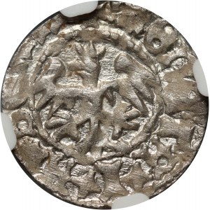 Jan Olbracht 1492-1501, mezzo penny senza data, Cracovia