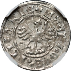 Alexander Jagellonský 1501-1506, půlpenny bez data, Vilnius