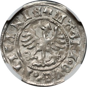 Alessandro Jagellone 1501-1506, mezzo penny senza data, Vilnius