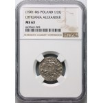 Alexander Jagiellonian 1501-1506, half-penny without date, Vilnius