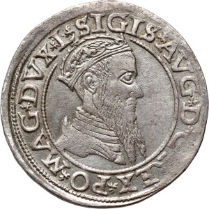 Sigismund II. Augustus, Viereck 1566, Vilnius