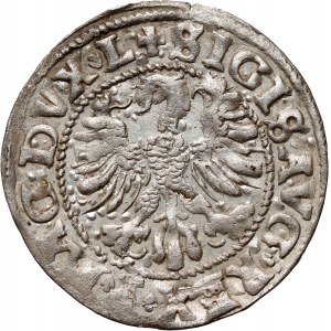 Sigismund II. Augustus, halber Pfennig 1546, Vilnius