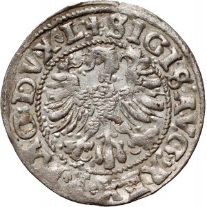 Sigismondo II Augusto, mezzo penny 1546, Vilnius