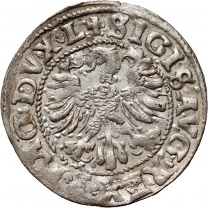 Sigismund II Augustus, half-penny 1546, Vilnius