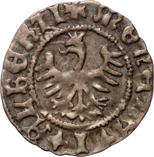 Jan Olbracht 1492-1501, half-penny without date, Cracow