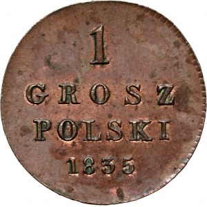Kongress Königreich, Nikolaus I., Polnischer Pfennig 1835 IP, Warschau, Nowe Bicie