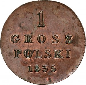 Congress Kingdom, Nicholas I, Polish grosz 1835 IP, Warsaw, New Beating
