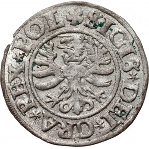 Sigismond Ier le Vieux, shilling 1531, Gdansk