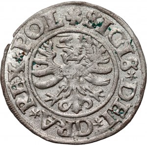 Žigmund I. Starý, šiling 1531, Gdansk