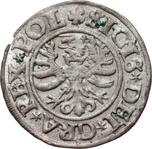 Zygmunt I the Old, 1531 shekel, Gdansk, Poland