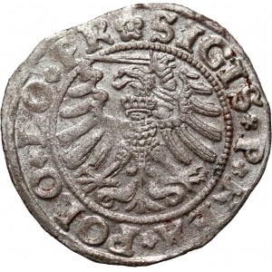 Sigismond Ier le Vieux, shilling 1531, Elbląg