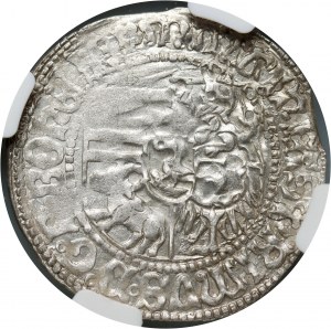 Silesia, Wroclaw, Maciej Korwin 1469-1490, penny no date