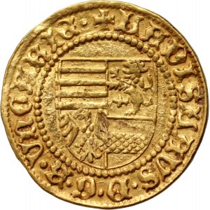 Uhersko, Ladislaus V 1453-1457, goldgulden bez data