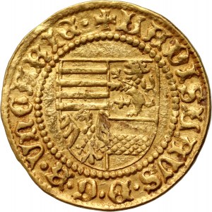 Węgry, Władysław V 1453-1457, goldgulden bez daty