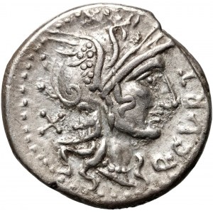 Republika Rzymska, Q. Curtius M. Silanus 116/115 p.n.e., denar, Rzym