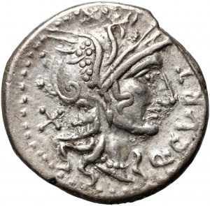 Republika Rzymska, Q. Curtius M. Silanus 116/115 p.n.e., denar, Rzym