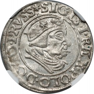 Sigismondo I il Vecchio, centesimo 1538, Danzica