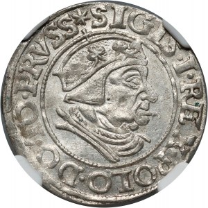 Sigismund I the Old, penny 1538, Gdańsk