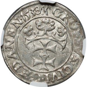 Sigismund I. der Alte, Pfennig 1538, Danzig