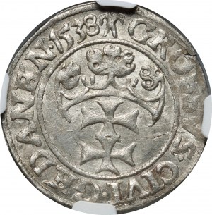 Sigismund I. der Alte, Pfennig 1538, Danzig