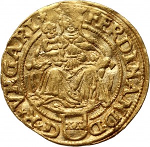 Węgry, Ferdynand I, goldgulden 1553 H, Nagyszeben