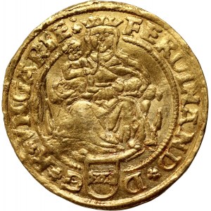 Węgry, Ferdynand I, goldgulden 1563 NC, Nagybánya