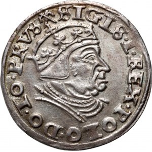 Sigismondo I il Vecchio, trojak 1540, Danzica