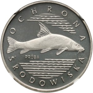 PRL, 100 złotych 1977, Brzana, PRÓBA, nikiel