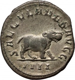 Empire romain, Otacilia Severa 244-248, antoninien, Rome