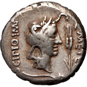 Římská republika, Q. Caecilius Metellus Pius Scipi 47-46 př. n. l., denár, Řím