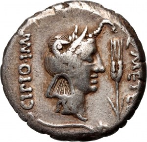 Republika Rzymska, Q. Caecilius Metellus Pius Scipi 47-46 p.n.e., denar, Rzym