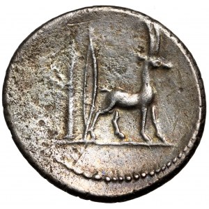 Rímska republika, C. Plancius 55 pred n. l., denár, Rím
