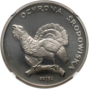 Volksrepublik Polen, 100 Zloty 1980, Moorhuhn, PRÓCE, Nickel