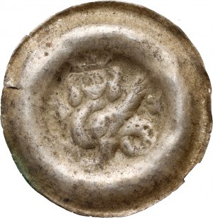 Čechy, Přemysl Otakar II. 1253-1278, brakteát