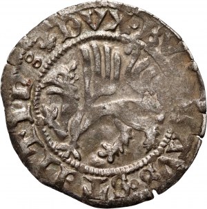 Pomoransko, Boguslaw X 1478-1523, šiling bez dátumu, Dymin