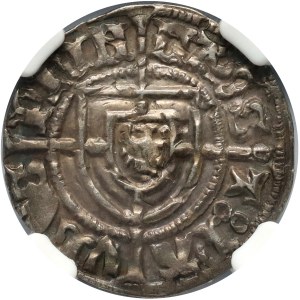 Teutonic Order, Paul von Russdorff 1422-1441, Schilling